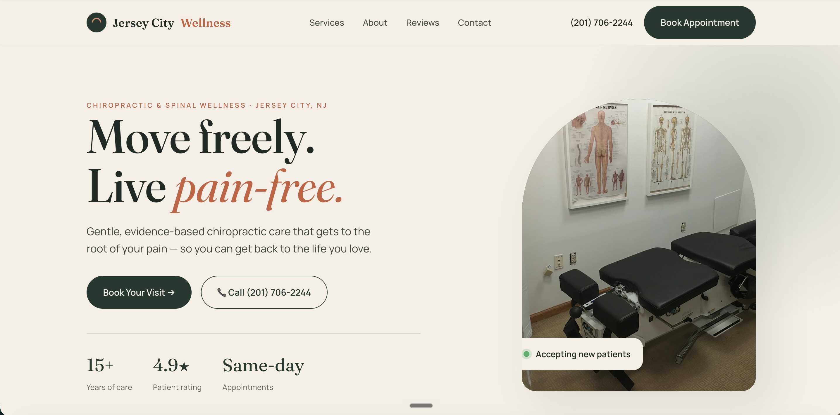 Chiropractic & Spinal Wellness website
